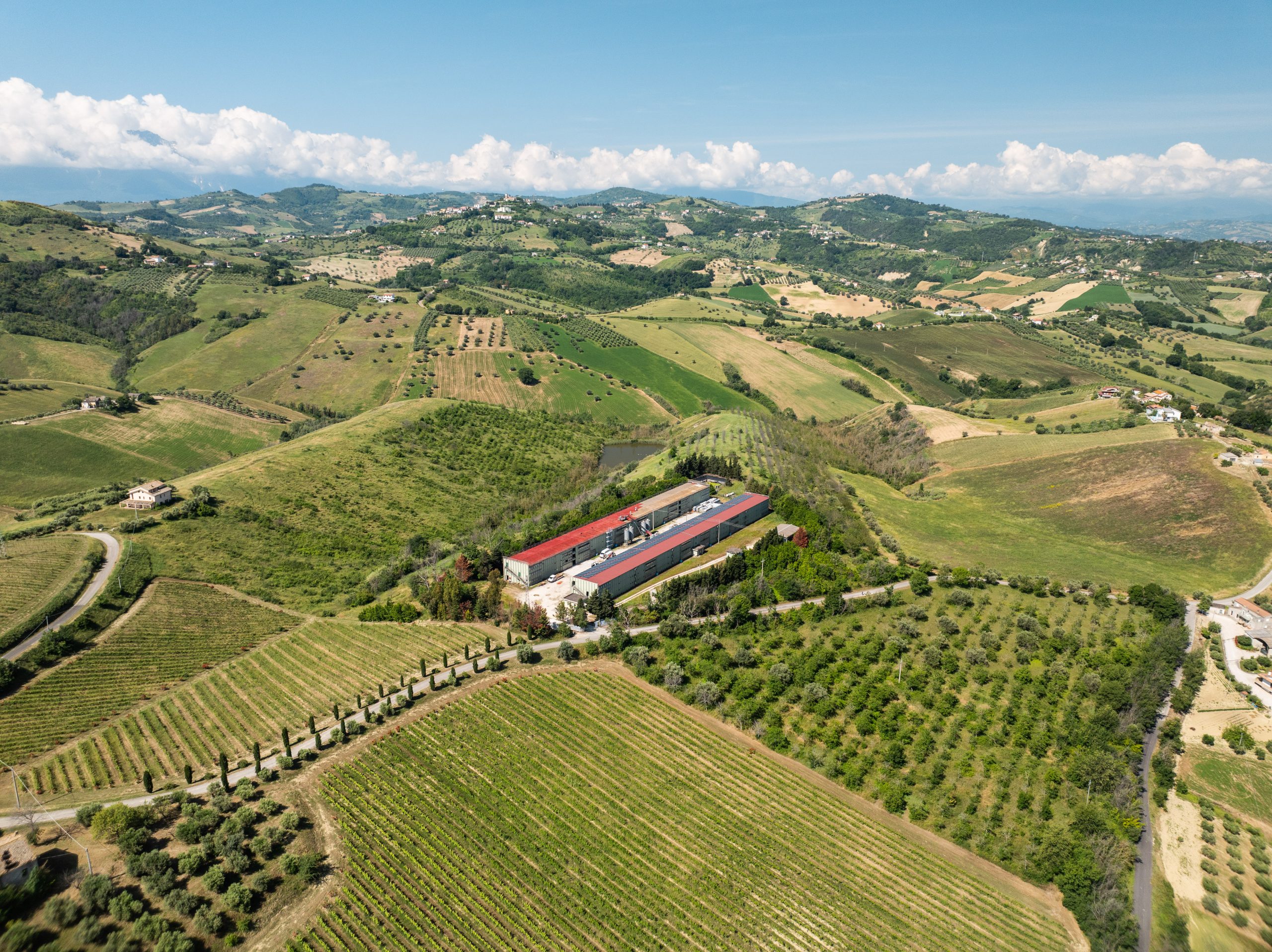 Panoramica drone Società Agricola Mantovana - Amadori