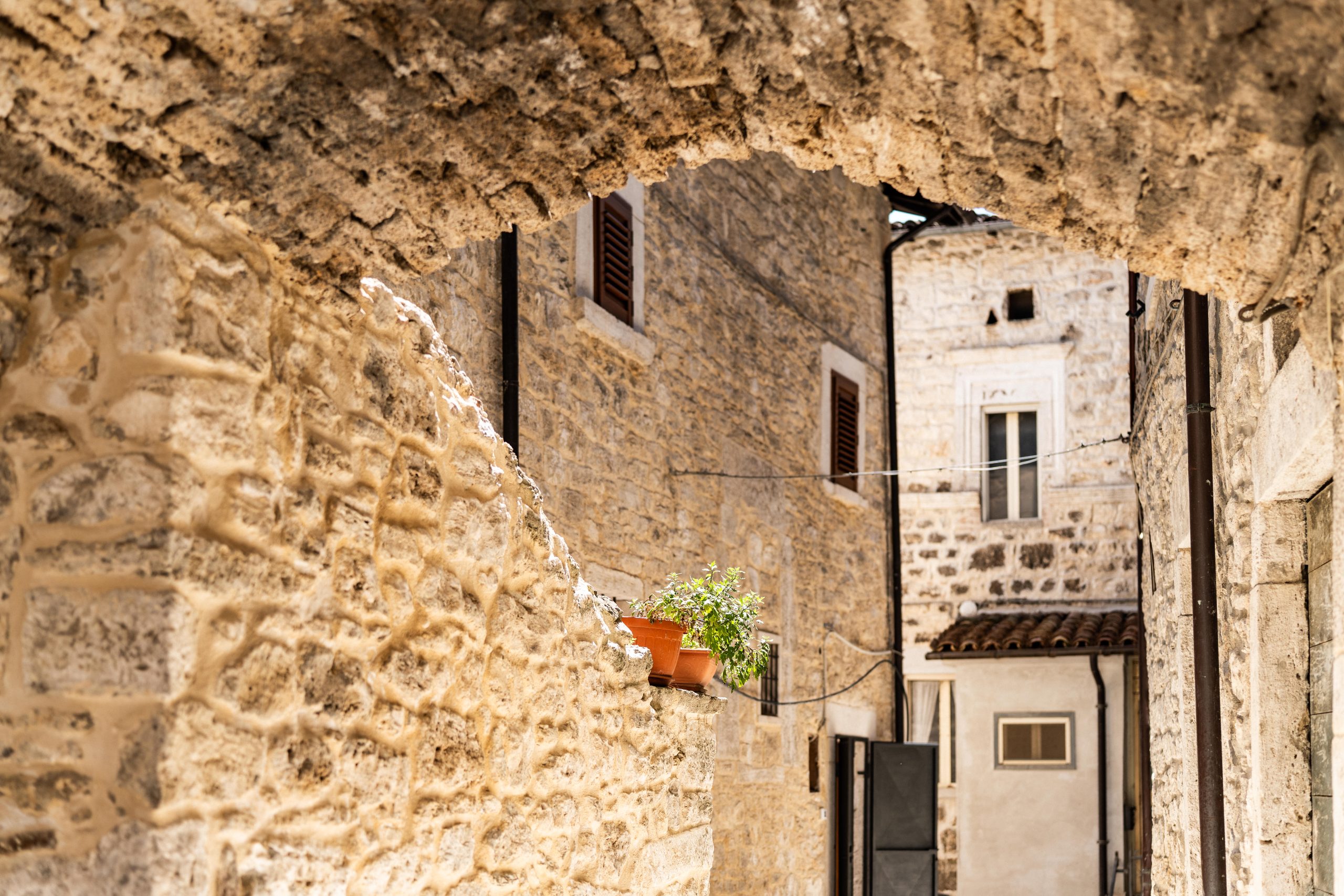 Dettaglio e scorcio Aggregato Morganti